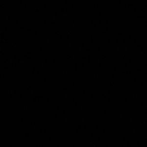 Meet your Posher, Isac